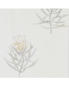 Carta da Parati DART216328 PROTEA FLOWER - Sanderson