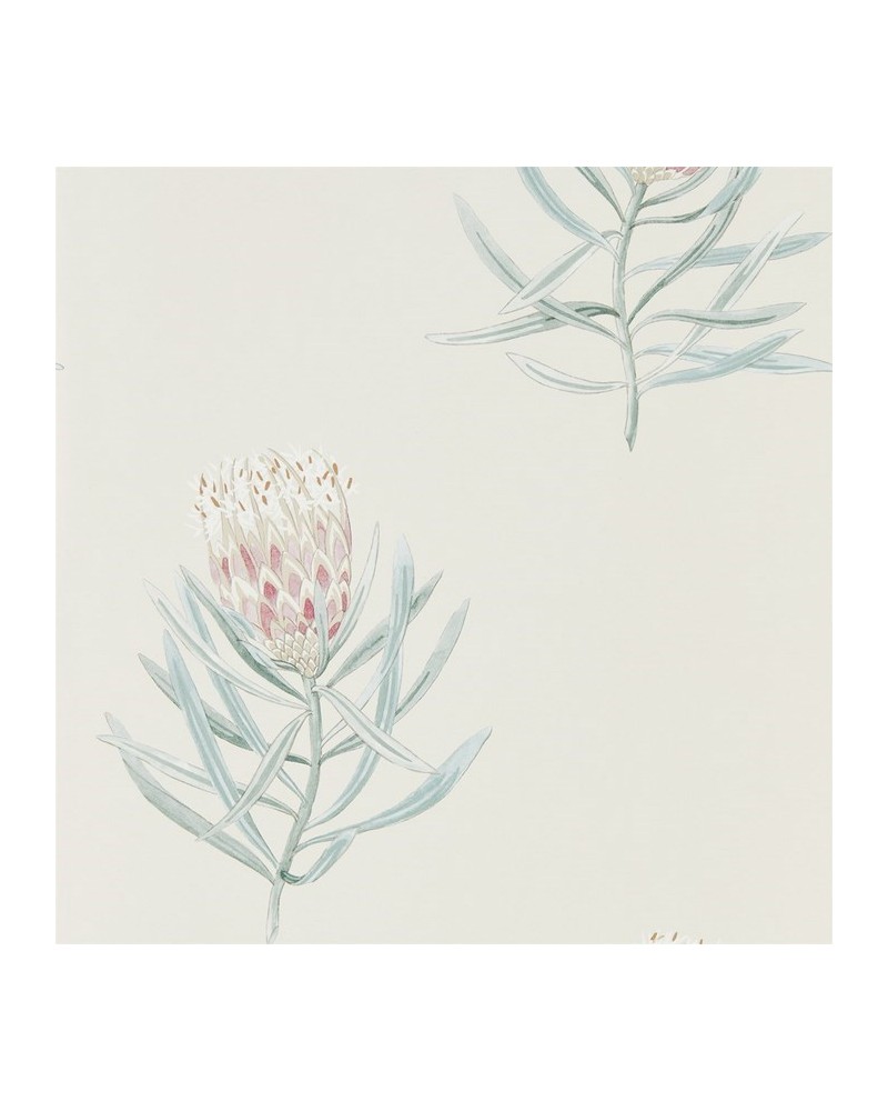 Carta da Parati DART216330 PROTEA FLOWER - Sanderson