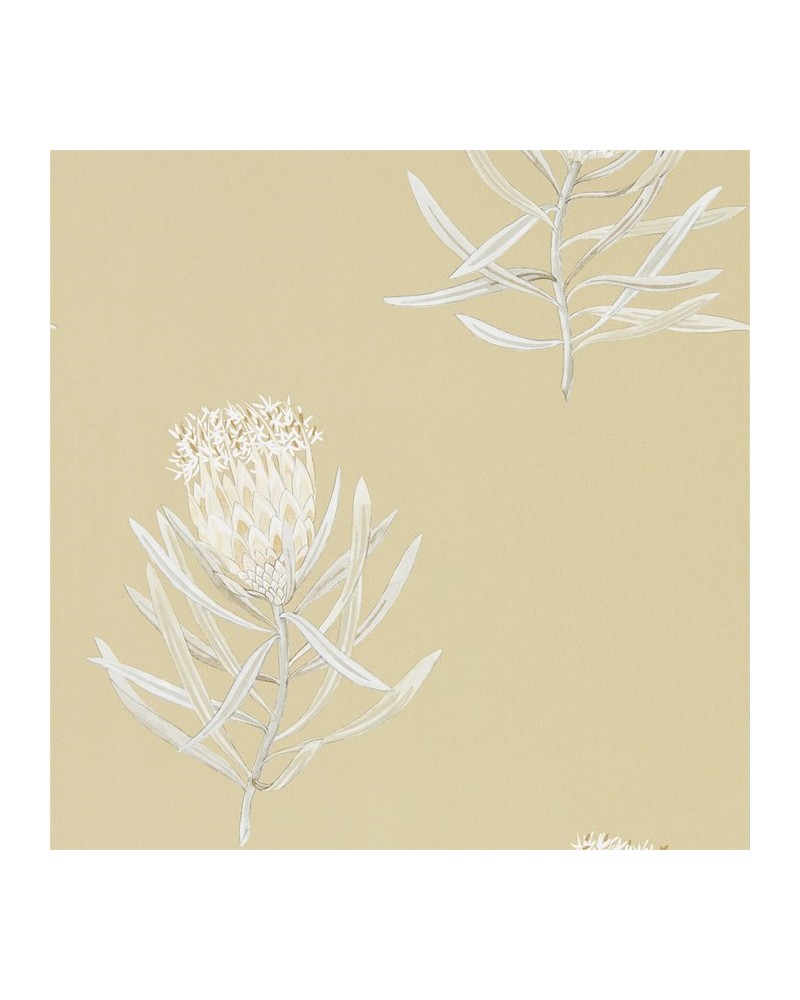 Papel de parede DART216331 PROTEA FLOWER - Sanderson