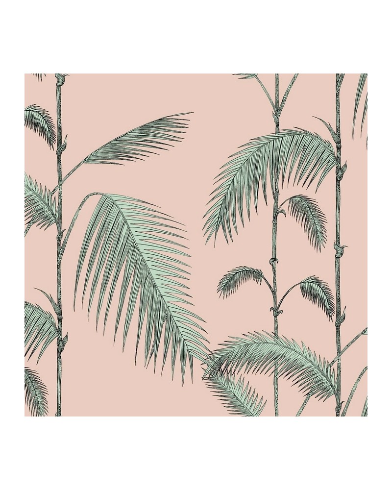 Papel Pintado 112-2005 PALM LEAVES - COLE and SON