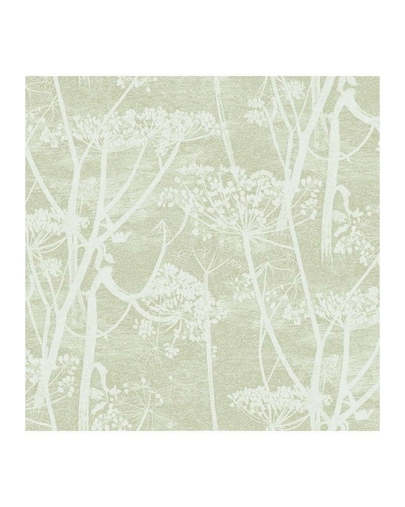 Papel Pintado 112-8029 COW PARSLEY - COLE and SON