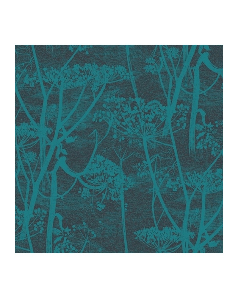 Wallpaper 112-8030 COW PARSLEY - COLE and SON