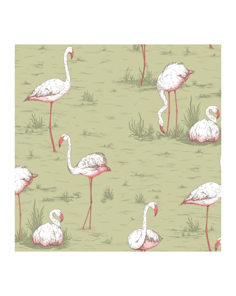 Wallpaper 112-11038 FLAMINGOS - COLE and SON