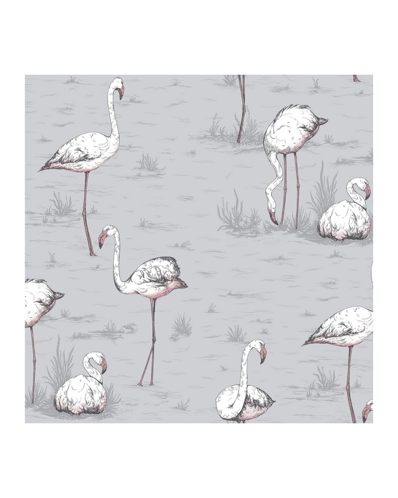 Papel Pintado 112-11040 FLAMINGOS - COLE and SON