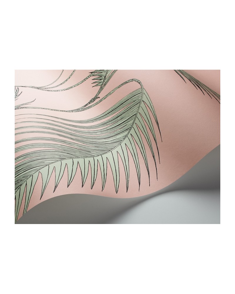 Papel Pintado 112-2005 PALM LEAVES - COLE and SON