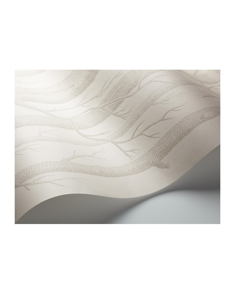 Papel de parede 112-3011 WOODS - COLE and SON