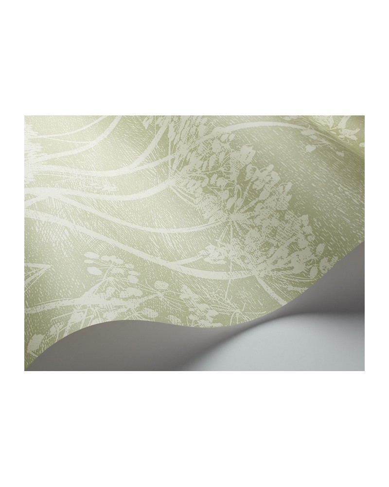 Papel de parede 112-8029 COW PARSLEY - COLE and SON