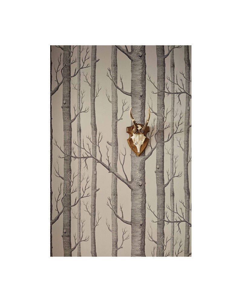 Papel de parede 112-3009 WOODS - COLE and SON