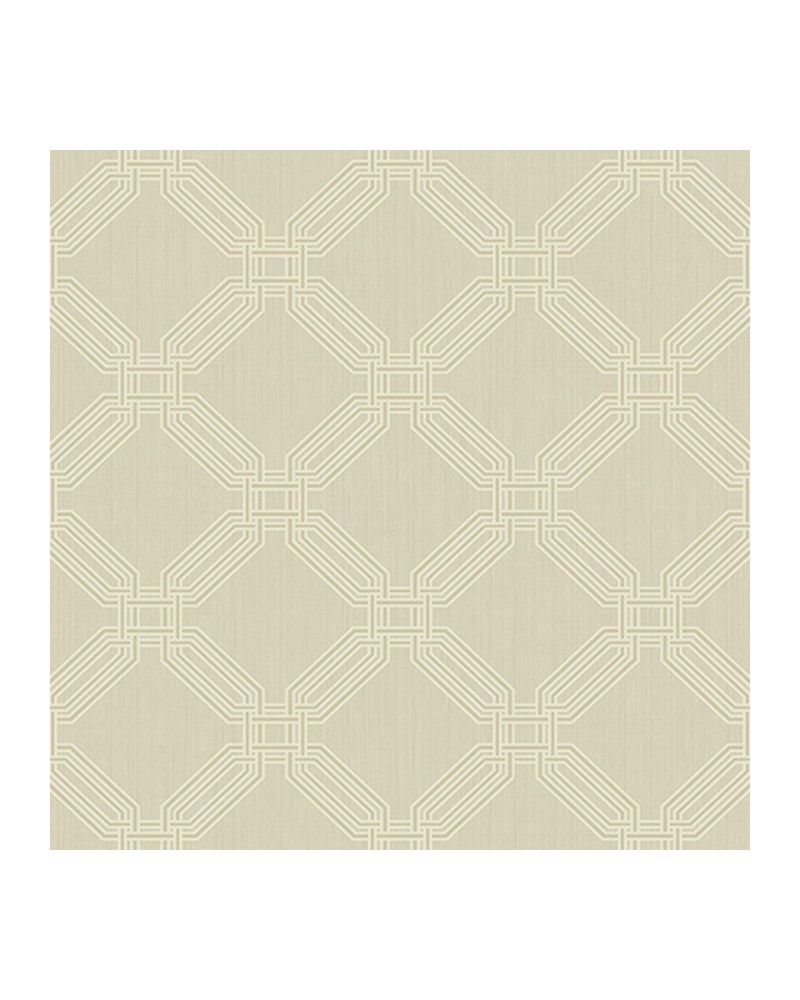 Carta da Parati OY32308 INTERLOCKING OCCTAGONS - WALLQUEST