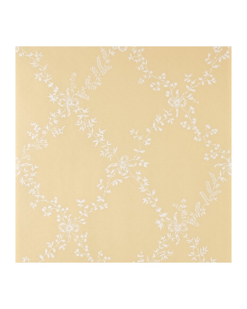 Carta da Parati TOILE TRELLIS BP 644 - FARROW & BALL