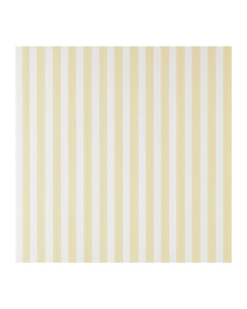 Carta da Parati CLOSET STRIPE ST 356 - FARROW & BALL