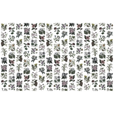 Papel de parede R13172-4 FRUIT & FLORA - REBEL WALLS