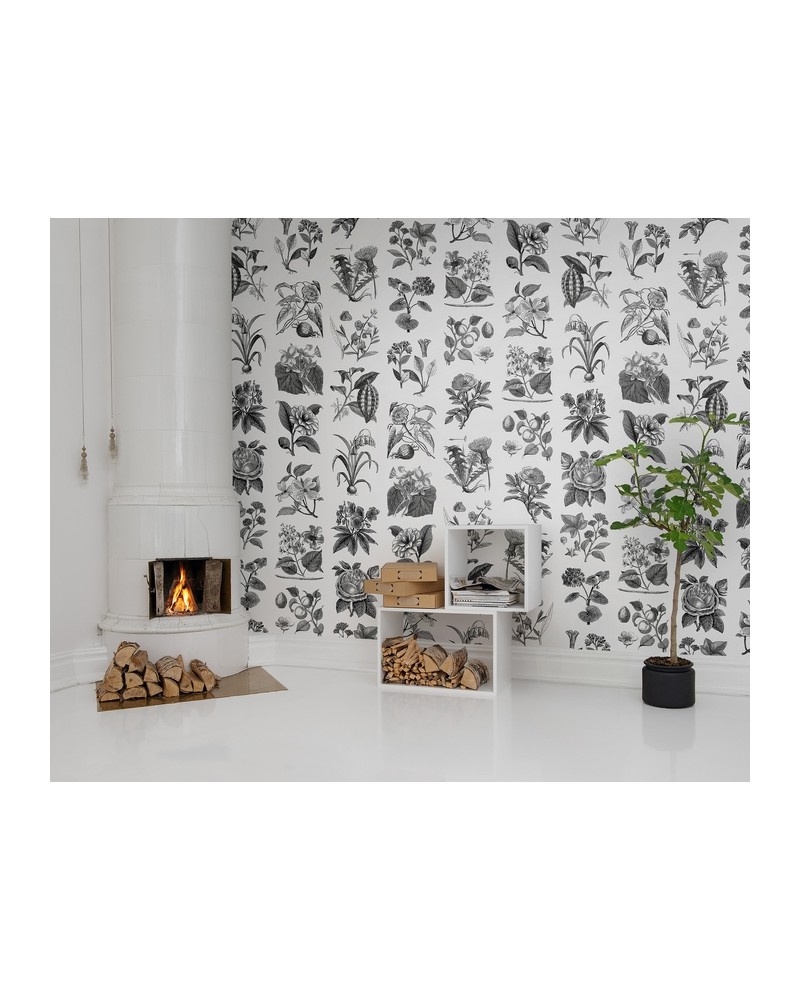 Carta da Parati R13171-4 FRUIT & FLORA - REBEL WALLS