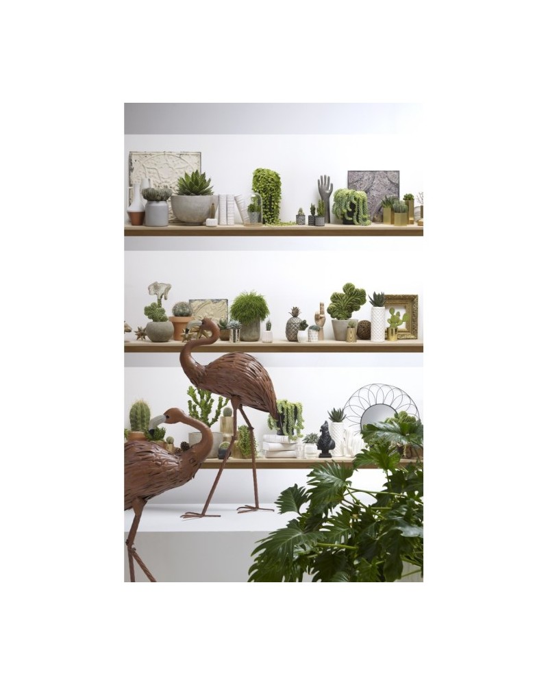 Papel de parede 8888-851 CACTUS SHELVES PANORAMIC SHOT - KOZIEL