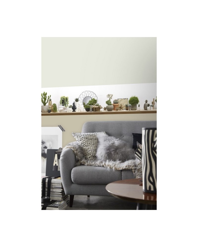 Papel de parede 8888-851 CACTUS SHELVES PANORAMIC SHOT - KOZIEL