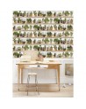 Wallpaper 8888-402 CACTUS-STYLISES-SUR-ETAGERES - KOZIEL