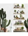 Wallpaper 8888-850 ETAGERES-DE-CACTUS - KOZIEL