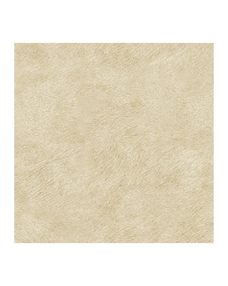 Papier peint VP-617-02 TRIBECA ( coordinado ) - Elitis