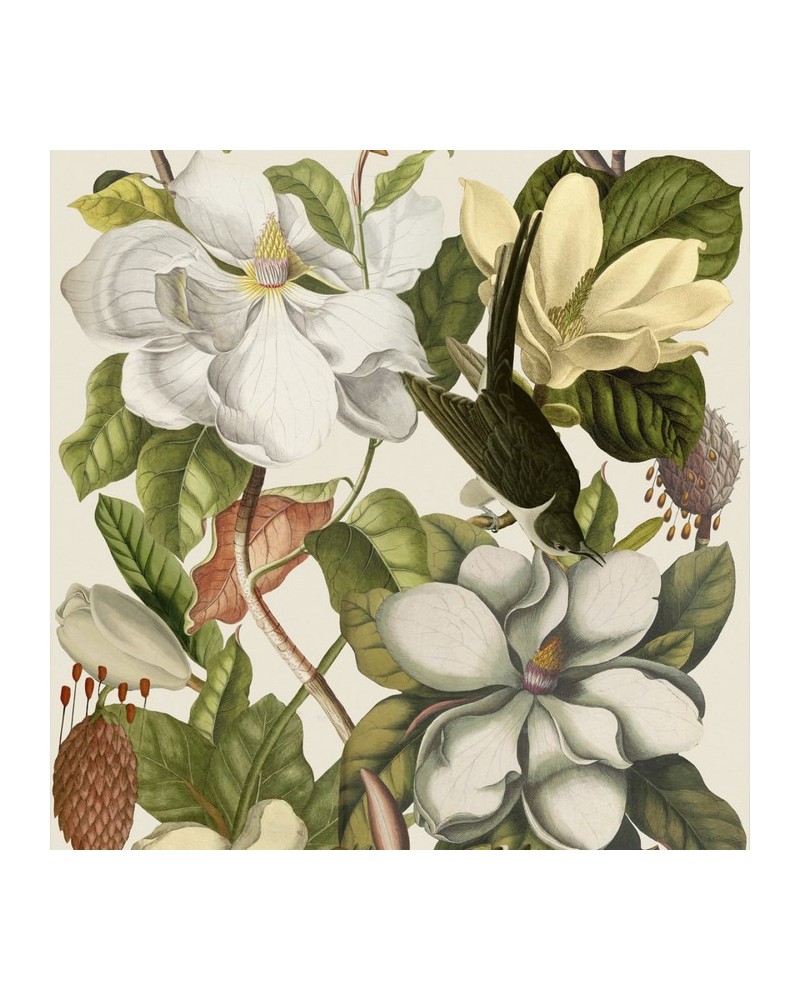 Papier lackiert MAGNOLIA Tausch WP20152 - Ja. MIND THE GAP