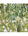 OPUNTIA WP20166