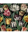 TULIPA WP20178