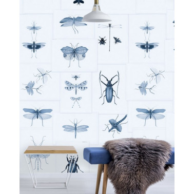 ENTOMOLOGIE Blau WP20235