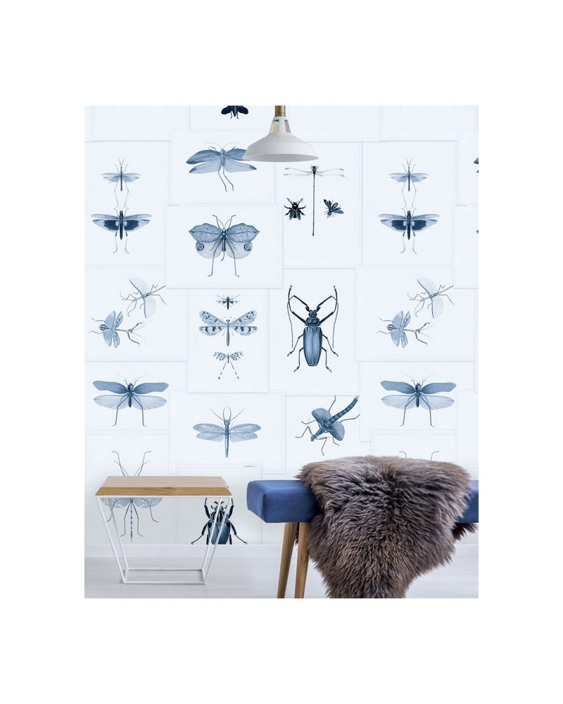 Papier lackiert ENTOMOLOGY Blau WP20235 - Ja. MIND THE GAP