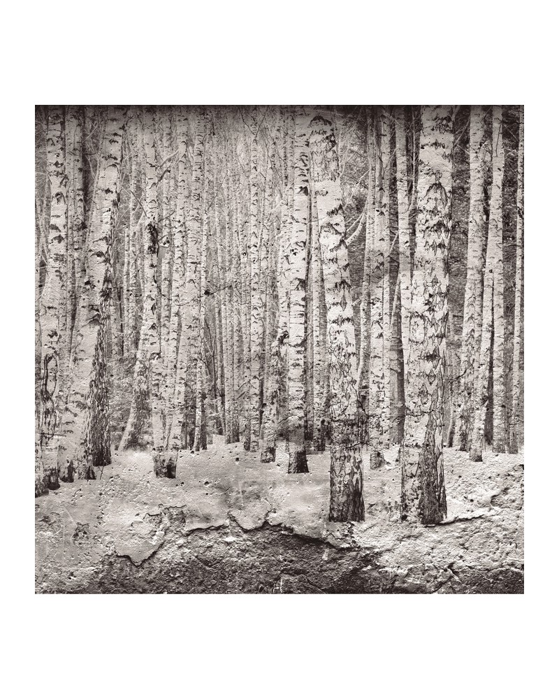 Papel Pintado 6500201 BROKEN FOREST BLACK - COORDONNE