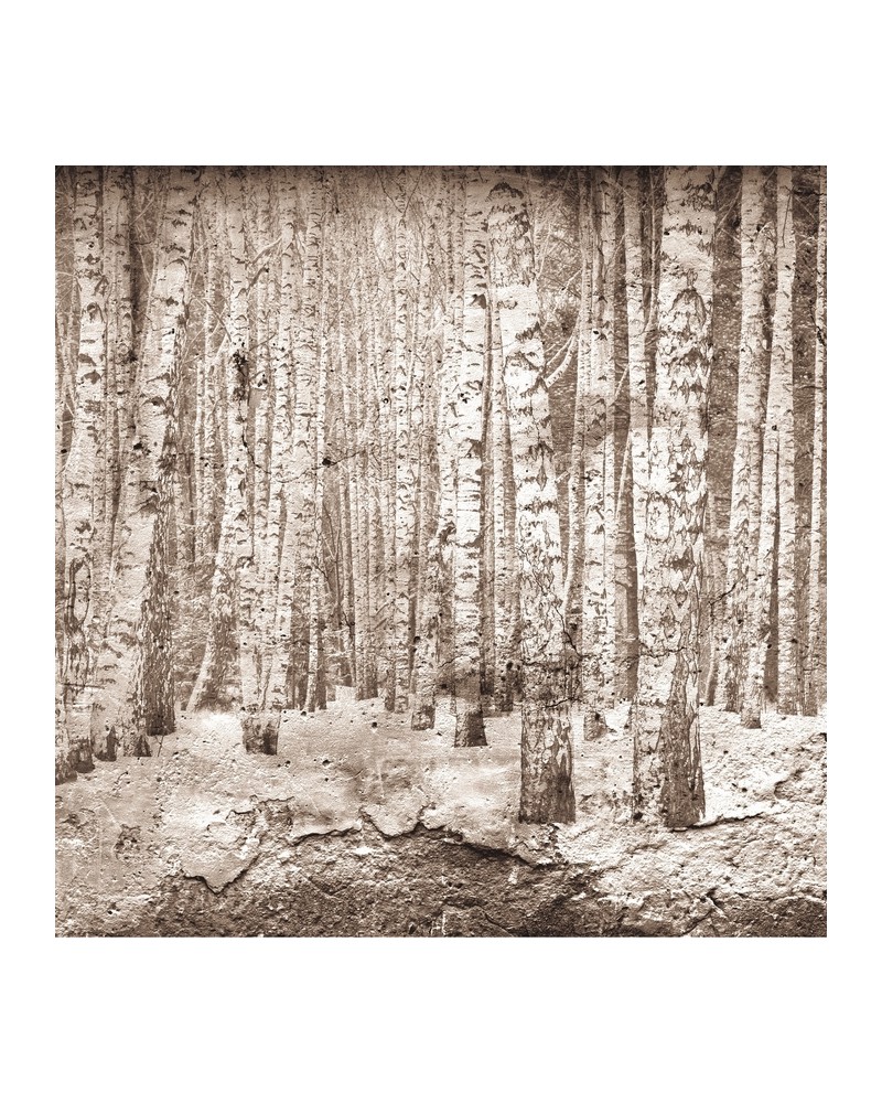 Papel de parede 6500202 BROKEN FOREST SEPIA - COORDONNE