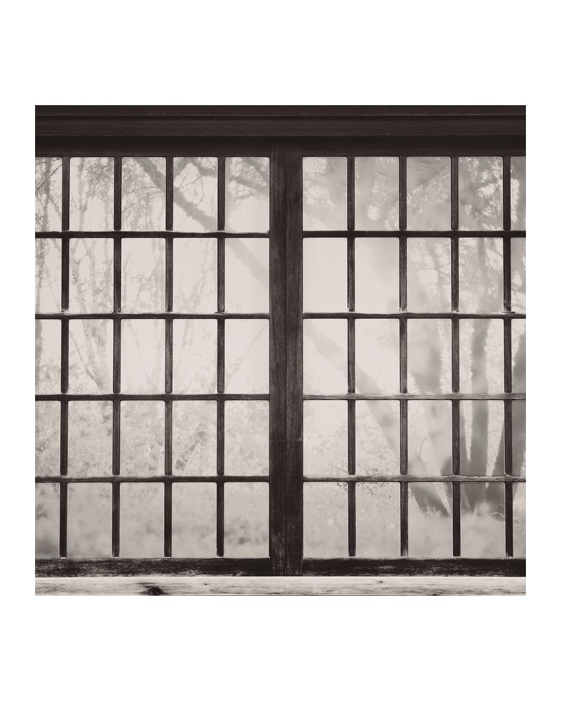 Carta da Parati 6500209 JAPANESE WINDOW - COORDONNE