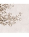 Papel Pintado 6500305 BLOSSOM ALMOND TREE GREY - COORDONNE