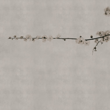 Wallpaper 6500307 BLOSSOM BRANCH GREY - COORDONNE