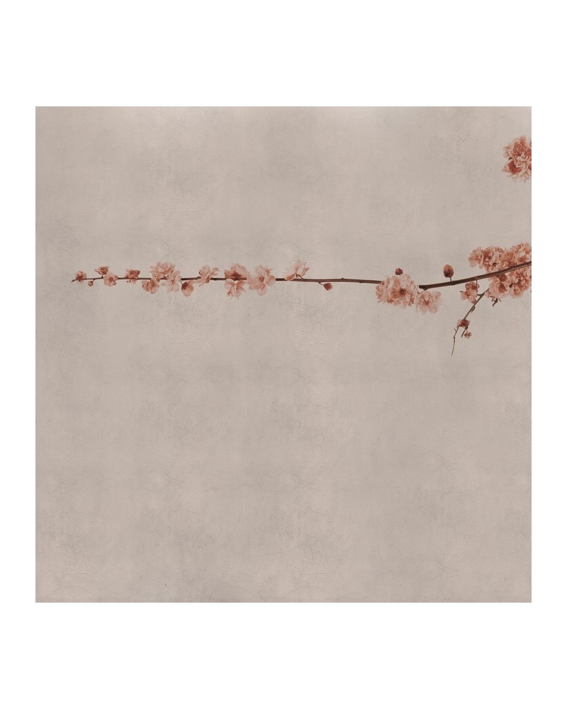 Papel Pintado 6500308 BLOSSOM BRANCH PINK - COORDONNE