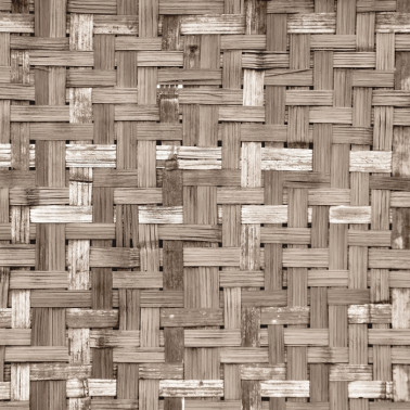 Wallpaper 6500321 PALM TREE FRAME SEPIA - COORDONNE