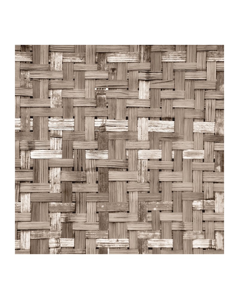 Papier peint 6500321 PALM TREE FRAME SEPIA - COORDONNE