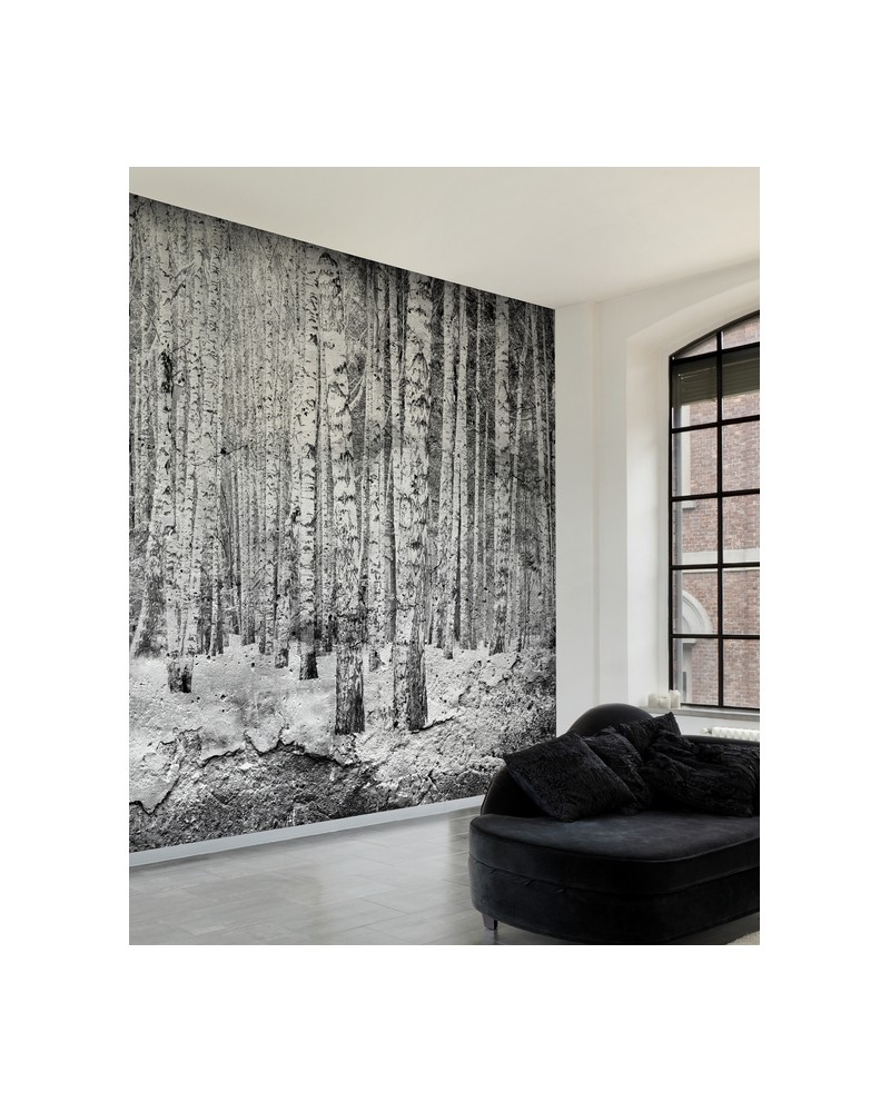 Wallpaper 6500201 BROKEN FOREST BLACK - COORDONNE