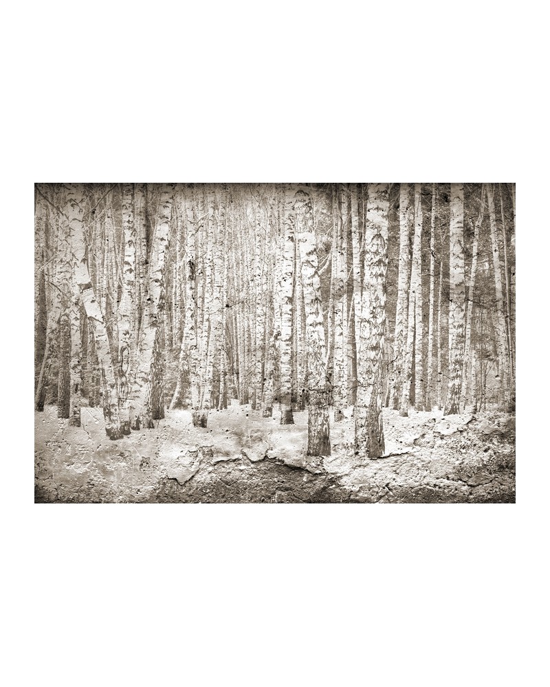 Papel de parede 6500202 BROKEN FOREST SEPIA - COORDONNE