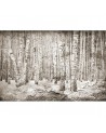 Papel de parede 6500202 BROKEN FOREST SEPIA - COORDONNE