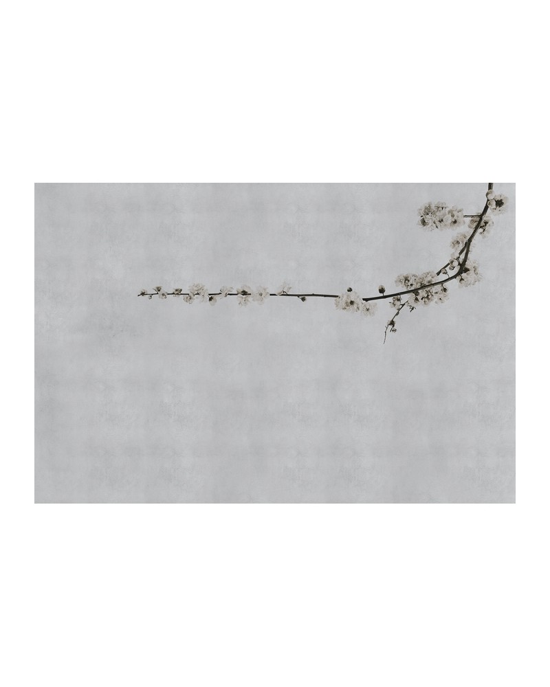 Papier peint 6500307 BLOSSOM BRANCH GREY - COORDONNE