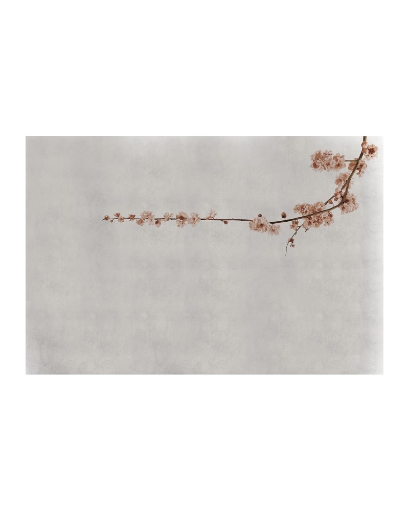 Papel Pintado 6500308 BLOSSOM BRANCH PINK - COORDONNE