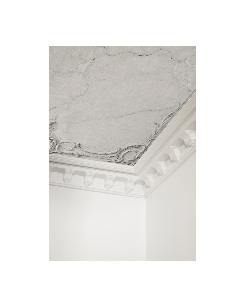 Papier peint 6500401 BROKEN CEILING GREY - COORDONNE