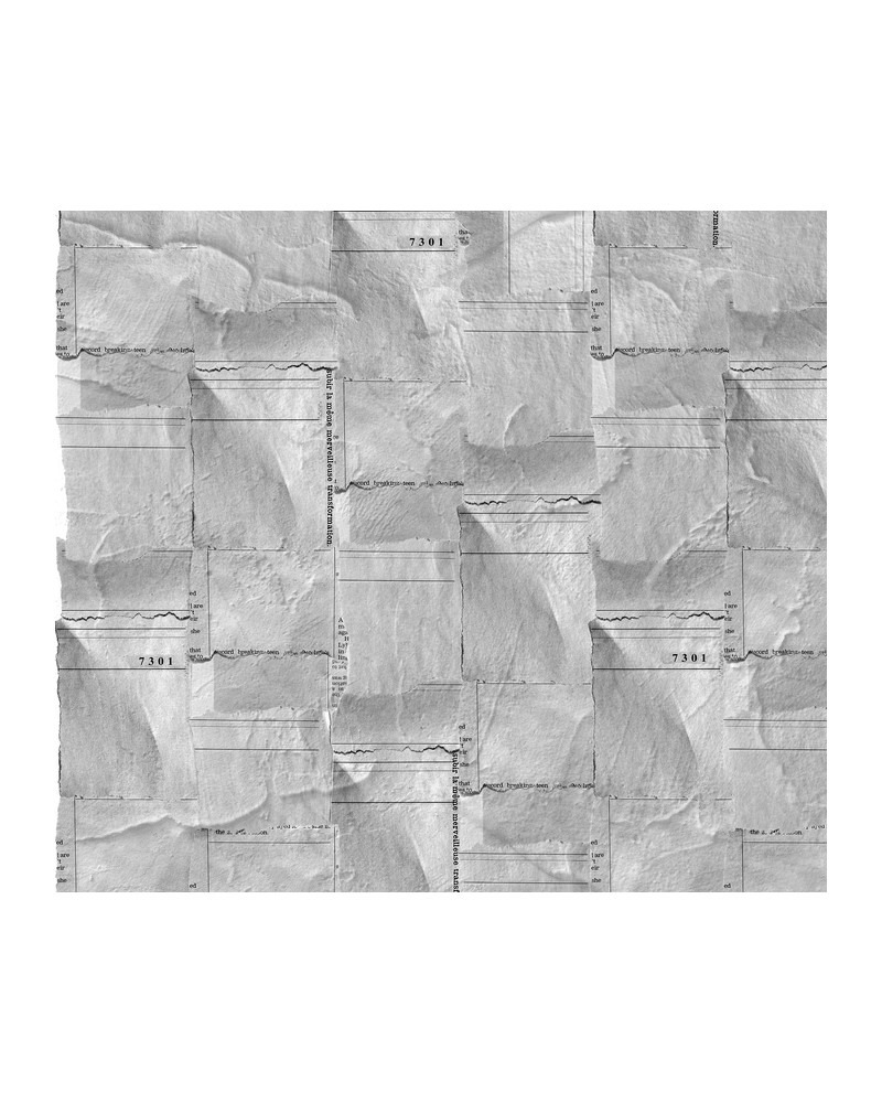 Papel de parede 6500504 NEWSPAPER PIECES - COORDONNE