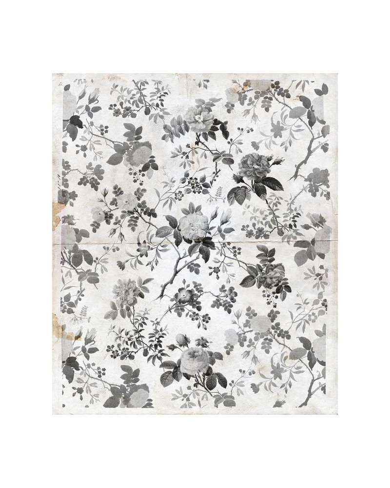 Papel Pintado R13072-5 ROSEGARDEN BLACK - REBEL WALLS