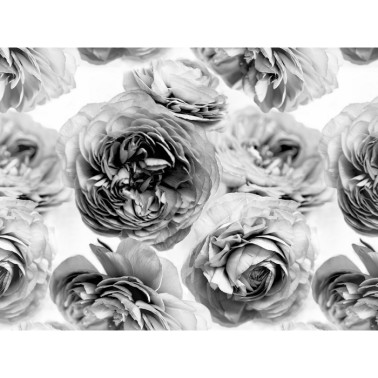 Papel Pintado R13092-8 SUMMER WIND BLACK AND WHITE - REBEL WALLS