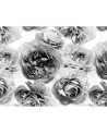 Papel Pintado R13092-8 SUMMER WIND BLACK AND WHITE - REBEL WALLS