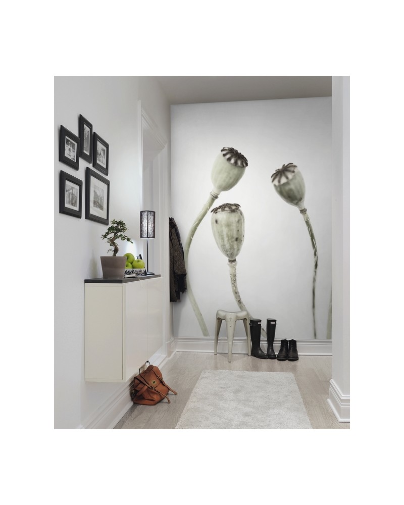 Papel Pintado R12991-8 SIMPLE SEEDPOO - REBEL WALLS