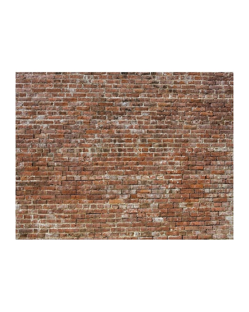 Papel Pintado 6800619 BRICKS BRICK - COORDONNE