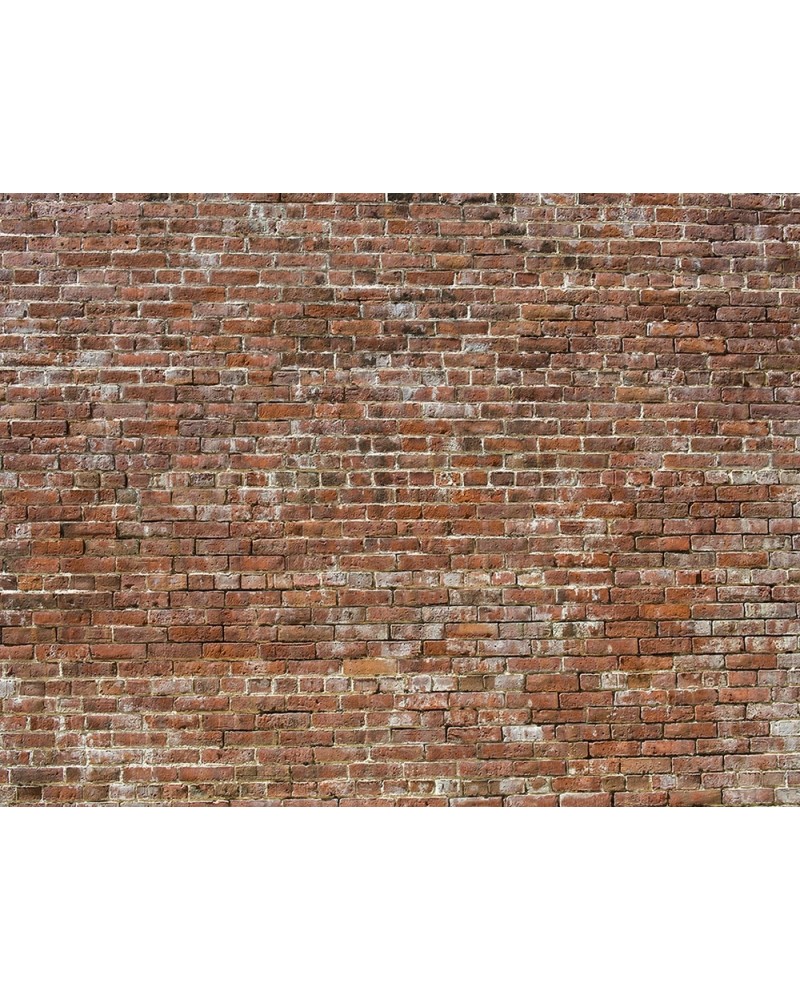 Papel Pintado 6800619 BRICKS BRICK - COORDONNE