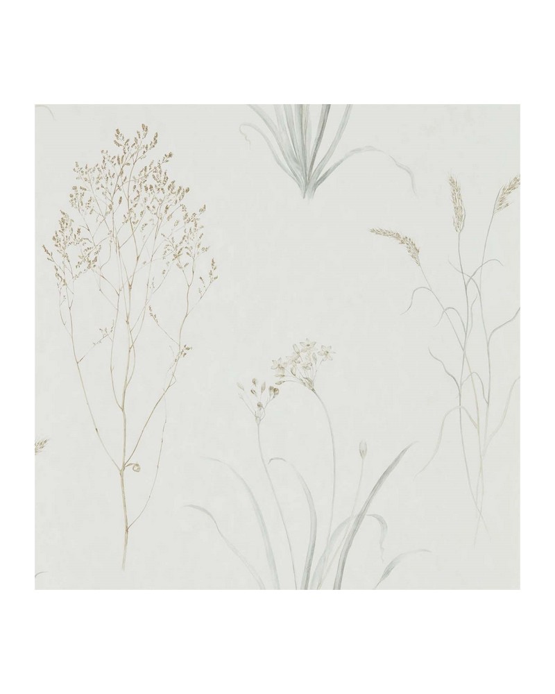 Papel de parede FARNE GRASSES DEBB216487 - Sanderson