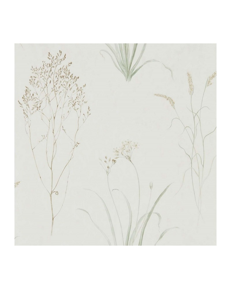 Papel de parede FARNE GRASSES DEBB216488 - Sanderson